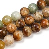 Natural Xiuyan Jade Beads Strands G-F792-C02-03-2