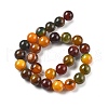 Natural Multi-Color Agate Beads Strands G-A261-B05-14mm-3