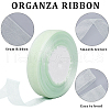 Polyester Organza Ribbons SRIB-WH20020-006C-5