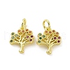 Brass Micro Pave Cubic Zirconia Charms KK-E068-VF090-2