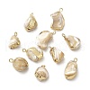 Natural Trochus Shell Pendants BSHE-E025-04LG-1