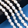 Natural Cultured Freshwater Pearl Beads Strands X1-PEAR-N012-05M-6