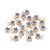 Alloy Enamel Charms PALLOY-TAC0011-29A-04-2