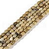 Natural Picture Jasper Beads Strands G-K362-I06-01-1