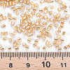 Glass Bugle Beads SEED-S032-09A-634-4