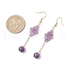 Natural Agate Bead & Natural Amethyst & Natural Citrine & Natural Carnelian & Natural Quartz Crystal Dangle Earrings EJEW-TA00660-4
