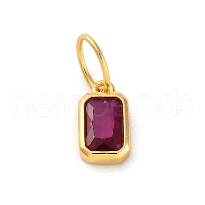 925 Sterling Silver Cubic Zirconia Charms STER-NH0014-01G-07-1