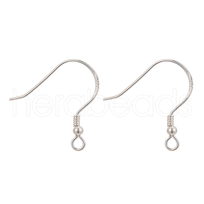 925 Sterling Silver Earring Hooks STER-K167-053A-S-1