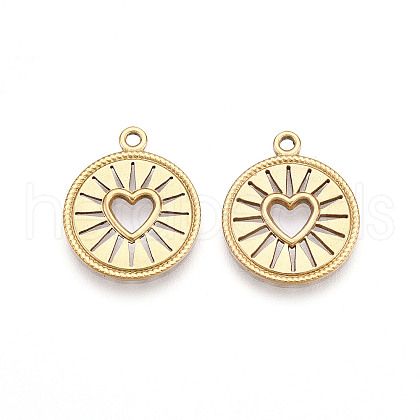 304 Stainless Steel Pendants STAS-N109-13G-1