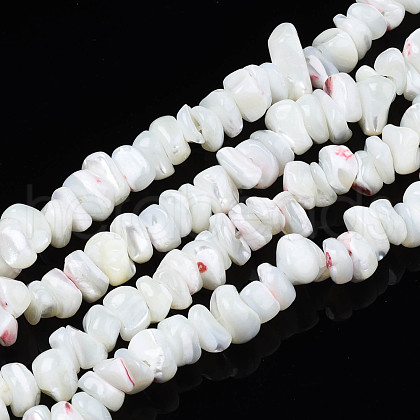 Natural Freshwater Shell Beads Strands SHEL-N003-23-A01-1
