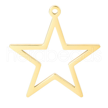 304 Stainless Steel Pendants PW-WG60056-03-1