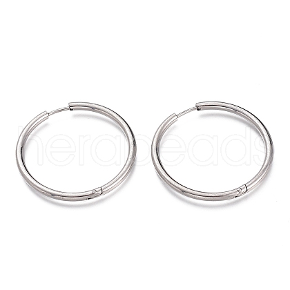Tarnish Resistant 304 Stainless Steel Needle with 201 Stainless Steel Ring Huggie Hoop Earrings EJEW-L256-02D-P-1