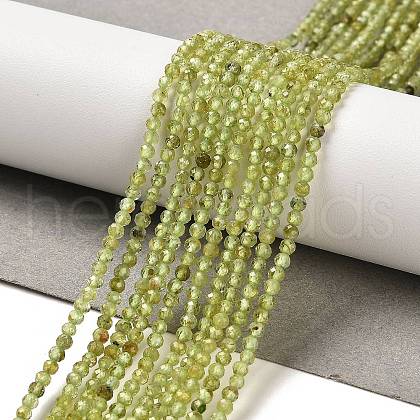 Natural Peridot Beads Strands G-B107-A06-01-1