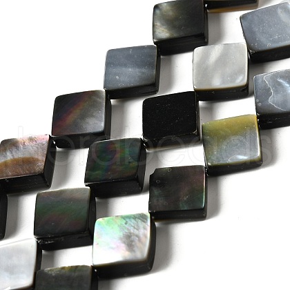 Natural Black Lip Shell Beads Strands BSHE-D300-09-1