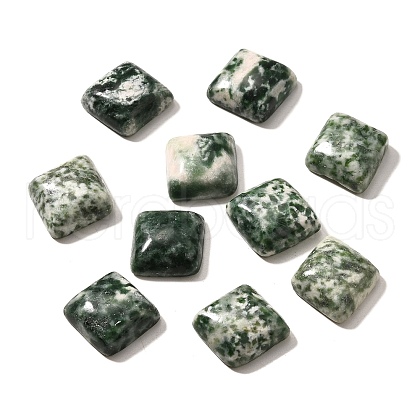 Natural Green Spot Jasper Cabochons G-I359-05-1