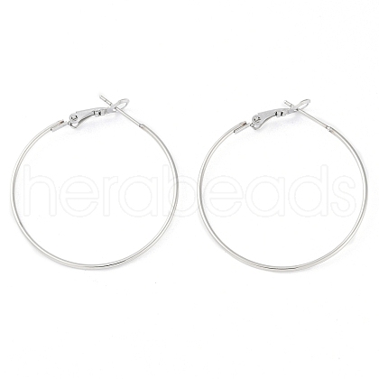 Non-Tarnish 304 Stainless Steel Hoop Earrings STAS-K288-01P-1