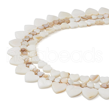 Fashewelry 3 Strands 3 Style Natural Freshwater Shell Beads Strands SHEL-FW0001-01-1