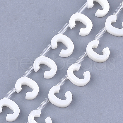 Natural Freshwater Shell Beads SHEL-T012-59C-1