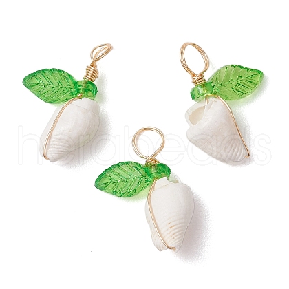 Natural Sea Shell Copper Wire Wrapped Pendants PALLOY-JF03610-02-1