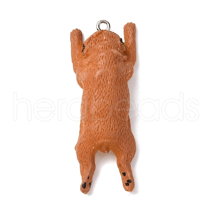 Opaque Resin Pendants CRES-D309-03P-D-1