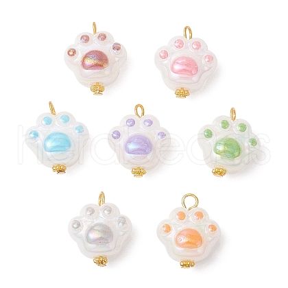 Acrylic Pendants PALLOY-JF03927-02-1