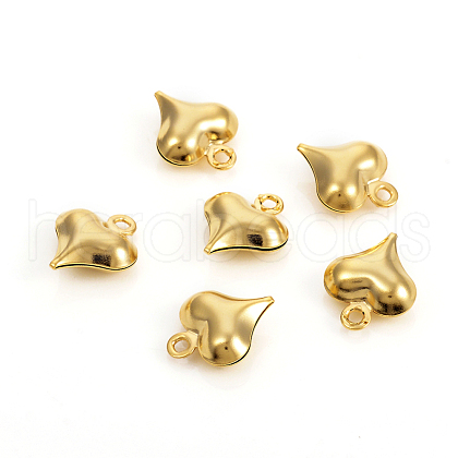 304 Stainless Steel Charms STAS-I149-05A-G-1