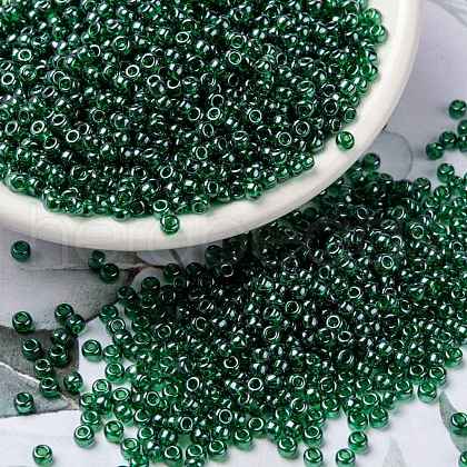 MIYUKI Round Rocailles Beads X-SEED-G008-RR0173-1