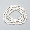 Natural Spiral Shell Beads Strands BSHE-I011-11C-2