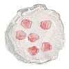 Transparent Handmade Lampwork Charms PW-WG3FA00-04-1