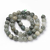 Natural Green Line Jasper Beads Strands X-G-Q462-102-8mm-2