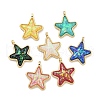 Translucent Resin Pendants KK-M291-24-1