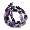 Natural Lepidolite/Purple Mica Stone Beads Strands G-B028-A06-3