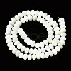 Natural Trochid Shell/Trochus Shell Beads Strands SSHEL-N032-159-2