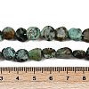 Natural African Turquoise(Jasper) Beads Strands G-Q060-E14-5