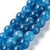 Dyed Natural Malaysia Jade Beads Strands G-G021-02B-10-2