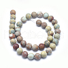 Natural Aqua Terra Jasper Beads Strands G-N0128-48F-10mm-2