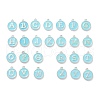 Platinum Plated Alloy Enamel Charms ENAM-XCP0001-04-1