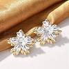 Brass Stud Earrings EJEW-P301-15-3
