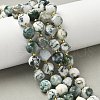 Natural Tree Agate Beads Strands G-U023-A15-01-1