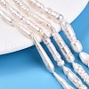 Natural Baroque Pearl Keshi Pearl Beads Strands PEAR-N021-15-03-1