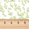Baking Paint Glass Seed Beads SEED-S042-05A-19-4