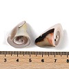 Natural Shiva Eye Shell Pendants SHEL-K009-17E-3