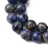 Natural Sodalite Beads Strands G-R015-B01-8mm-4