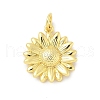 Brass Pendants KK-I276-73G-1