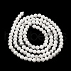 Natural Howlite Beads Strands G-E608-A01-B-3