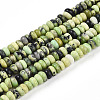 Natural Serpentine Beads Strands G-T140-76-4