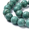Natural Howlite Beads Strands G-C180-10-3