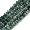 Natural Freshwater Shell Dyed Beads Strands SHEL-R100-13A-05-1