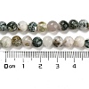 Natural Tree Agate Round Gemstone Beads Strands G-R255-6mm-4