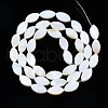 Natural Freshwater Shell Beads Strands SHEL-Q024-017-2